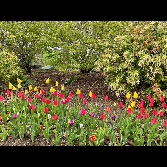 Meet your Posher, Sonnie - Picture 1 of 1